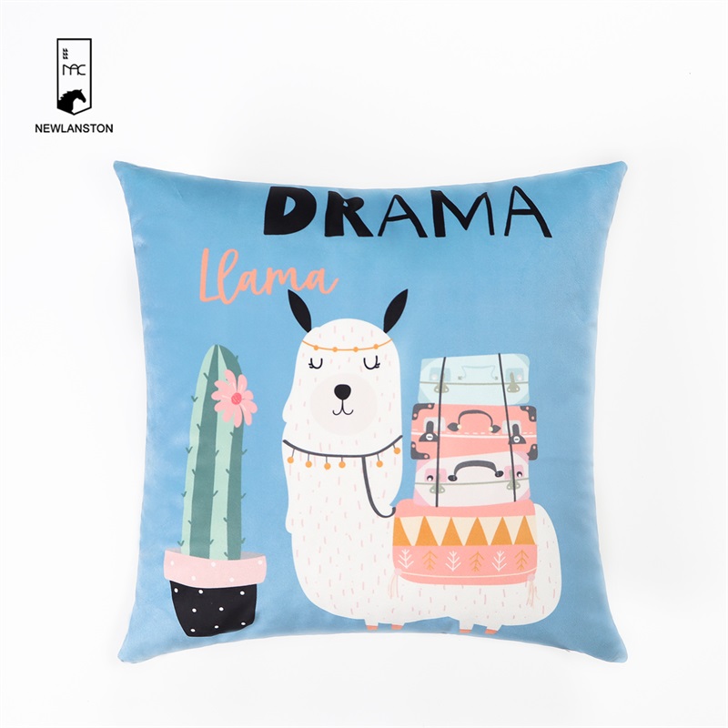 45x45 Digital printed velvet Cushion cover 